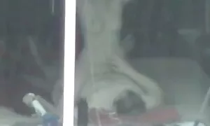 Der Glückliche lädt den Spender ein, seine Freundin zum Essen einzuladen. Die Männer lieben weißen Arsch von einem neuen Look . Objekt. Währenddessen, während sein Mädchen ein reife frauen sex video Schwanz ist, gab er den Jungs und dem Aussehen ihrer nackten Freunde. Die Sprache ist angenehm und kann es sich nicht vorstellen.
